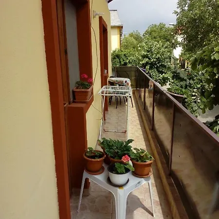 Гостьовий будинок Vila Cornea
