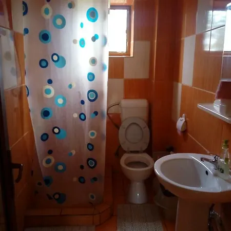 Гостьовий будинок Vila Cornea